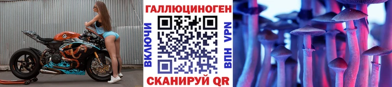 Псилоцибиновые грибы Psilocybe  Хотьково 